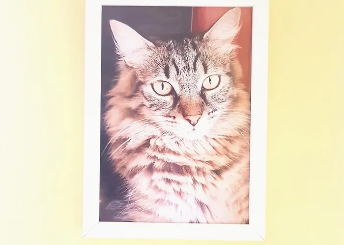 Apartment Pepe Complejo Olas Playa del Ingles (Gran Canaria)