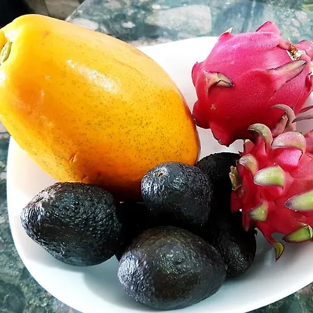 Apartment Pepe Complejo Olas Playa del Ingles (Gran Canaria)