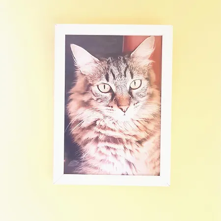 Appartamento Pepe Complejo Olas Playa del Inglés